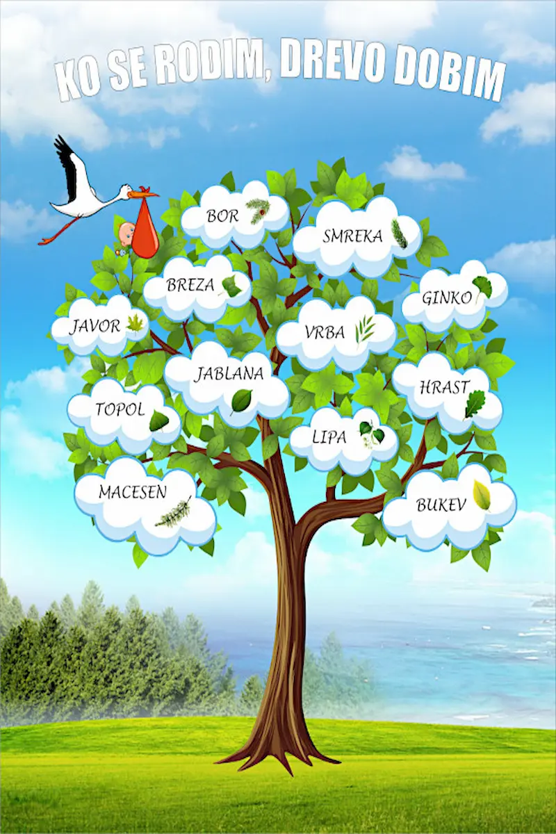 Plakat projekta Ko se rodim, drevo dobim v porodnišnici