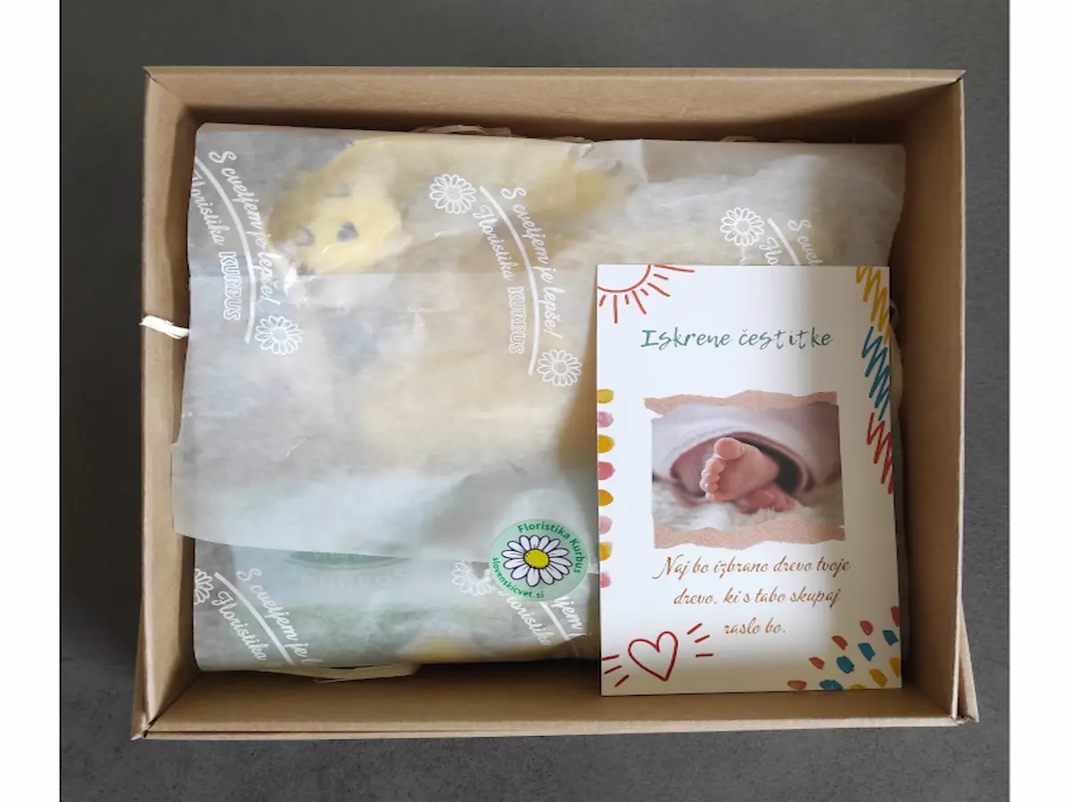 Zapakiran darilni paket v lični darilni embalaži