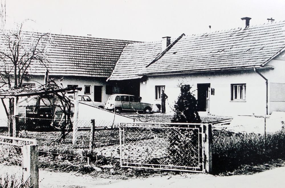 Prvi rastlinjak na Meleh - pogled od zunaj