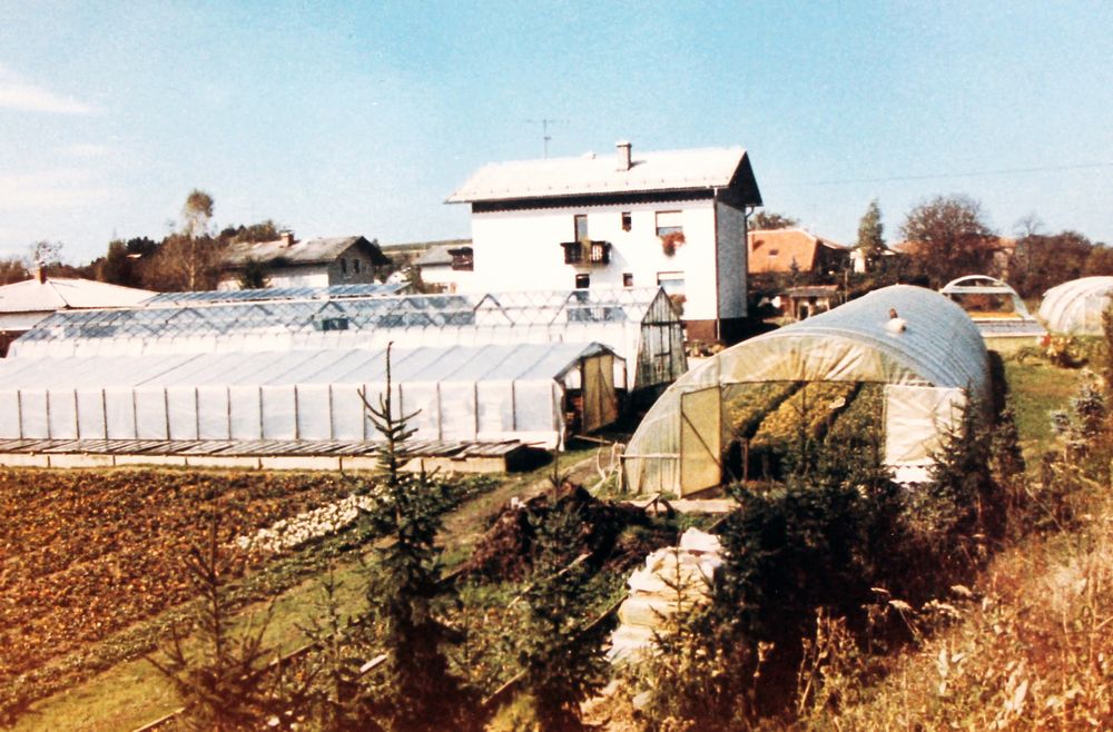 Rastlinjak v Gornji Radgoni