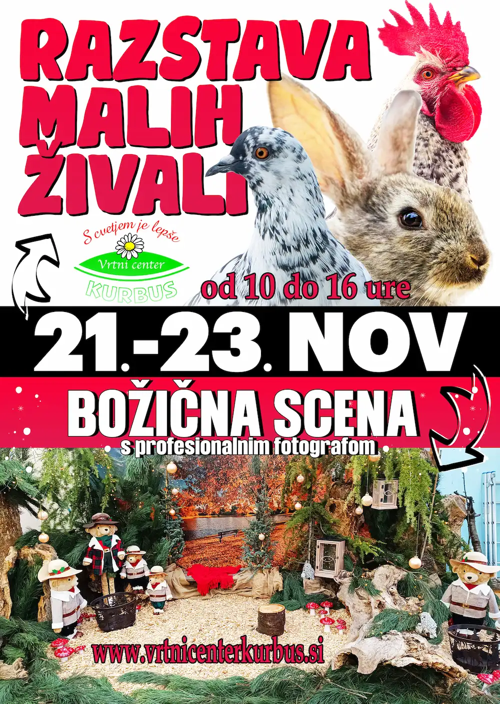 razstava malih živali, božična scena