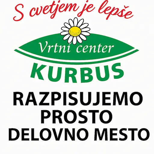 prosto delovno mesto