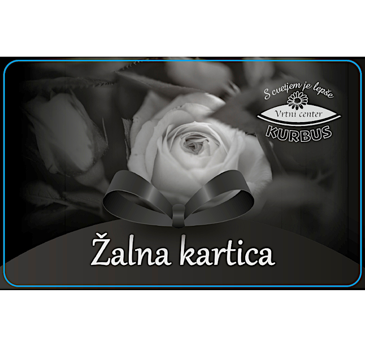 Izdelek Darilna kartica v vrednosti 100€